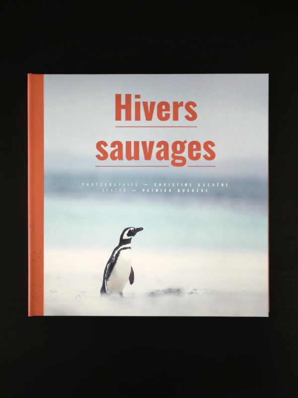 Miniature Hivers sauvages